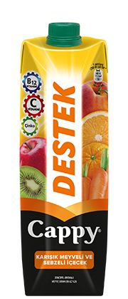 CAPPY 1 LT M.S. DESTEK