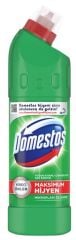 DOMESTOS 750 ML DAG ESINTISI