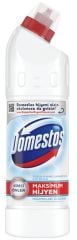DOMESTOS 750 ML KAR BEYAZI