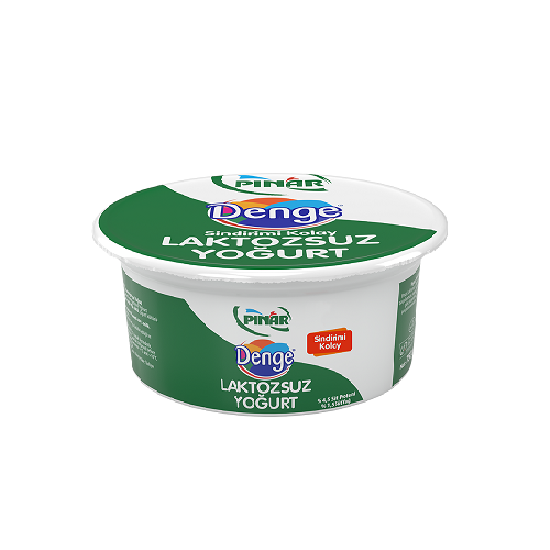 PINAR YOGURT LAKTOZSUZ 750 GR