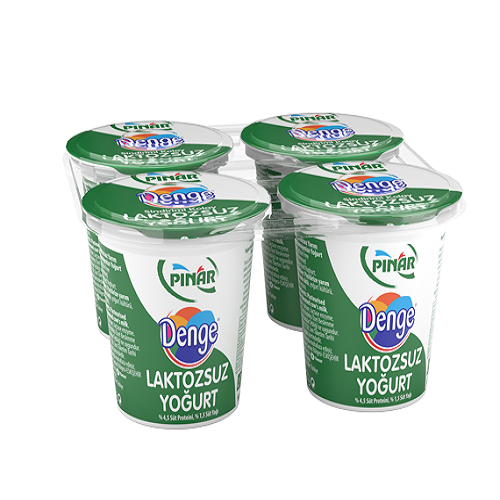 PINAR YOGURT LAKTOSUZ 125 GR
