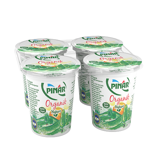 PINAR YOĞURT ORGANİK 125 GR