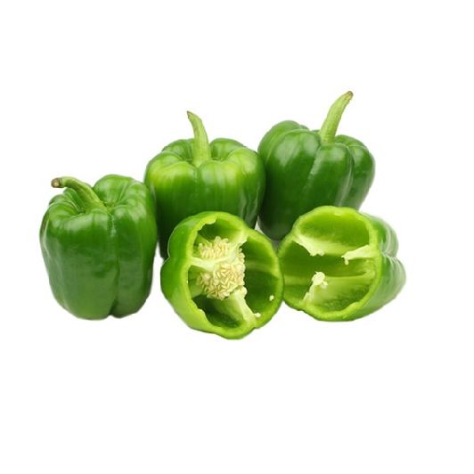 BIBER DOLMA KG