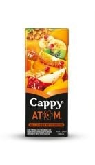 CAPPY 200ML M.S ATOM