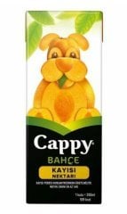 CAPPY 200ML M.S KAYISI