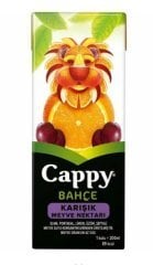 CAPPY 200ML M.S. KARISIK