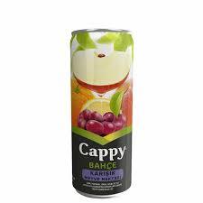 CAPPY 330ML KUTU M.S. KARISIK