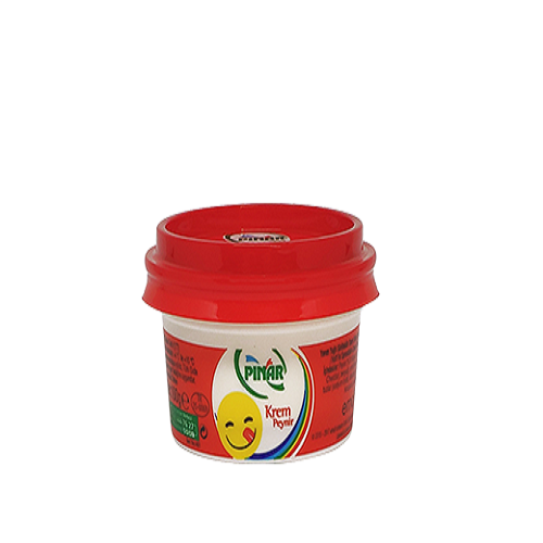 PINAR KREM PEYNIR 100 GR