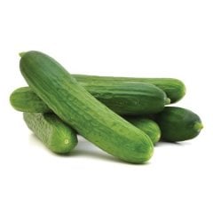 SALATALIK KG