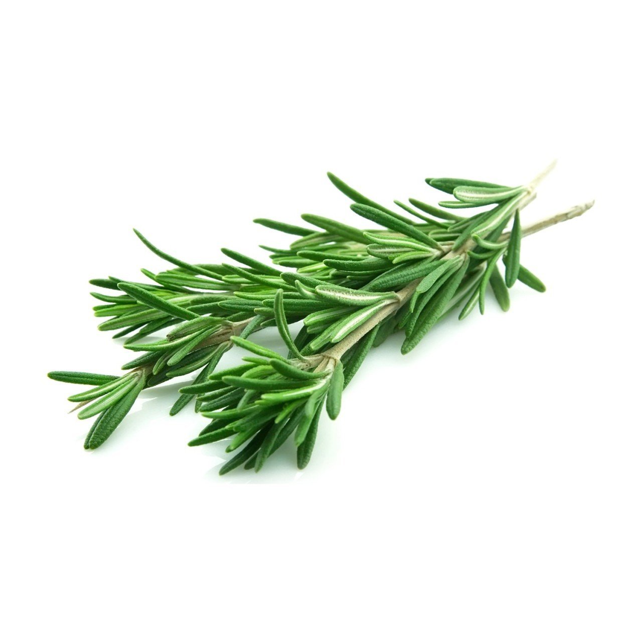 BİBERİYE TAZE ADET 25 GR