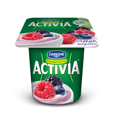 DANONE ACTIVIA ORMAN ADET 110 GR