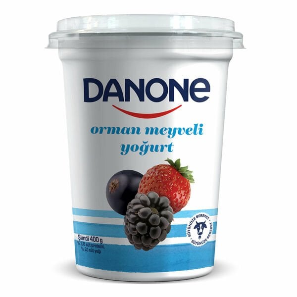 DANONE MEYVELİ YOĞURT ORMAN 400 GR