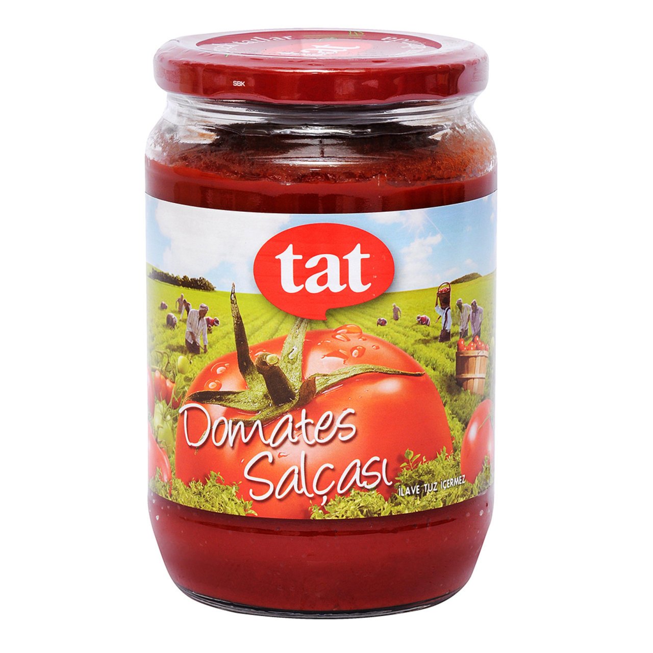 TAT SALÇA DOMATES 710 GR CAM