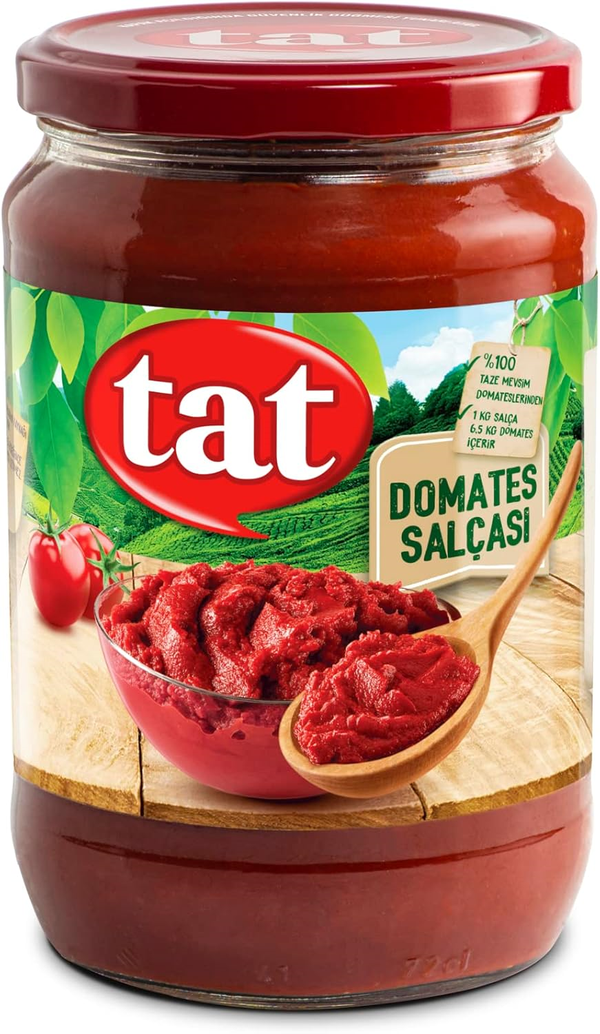 TAT SALÇA DOMATES 710 GR CAM